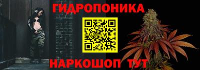 гашиш Кингисепп