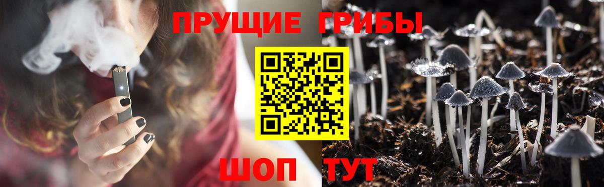 Кызыл  Галлюциногенные грибы GOLDEN TEACHER  Вход с VPN  Псилоцибиновые грибы мицелий 